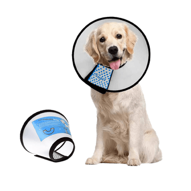 Pet Supplies & Equipment